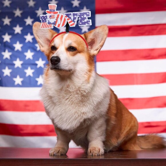 1pc Patriotic Party Accessories,Patriotic Headbands Patriotic Party Hair Supplie - Picture 4 of 7